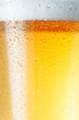 Beer an Foam.