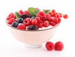 yogurt and berries