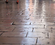 flagstones polished to perfection by walking feet, Zadar, Croati