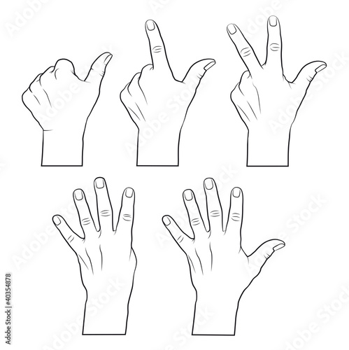 Vector: Mit der hand zählen 1,2,3,4,5, Mit der hand zählen 1,2,3,4,5,