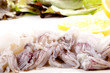 fresh squid before preparing as food fresh squid before preparing as food