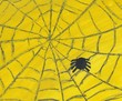 Spider and web - child's drawing