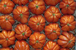 Tomates coeur de boeuf dans une cagette.