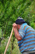 man working on garden man working on garden