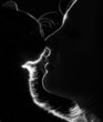 Foto: Gentle and touching moment girl caresses a cat Gentle and touching moment girl caresses a cat