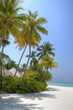 Turquoise Lagoon / Atoll with beach on the Maldives (Malediven)