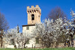 Photo: Toscana: Pieve di S. Pietro a Mercato a Montespertoli 2 Toscana: Pieve di S. Pietro a Mercato a Montespertoli 2