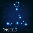 vector of the pisces zodiac sign of the beautiful bright stars o vector of the pisces zodiac sign of the beautiful bright stars o