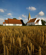 widok