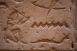 egypte, temple 8