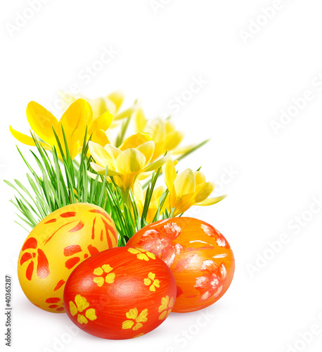 Photo: Easter eggs and yellow crocuses Easter eggs and yellow crocuses