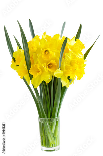 Photo: Narcissus Flowers Narcissus Flowers
