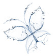 water butterfly