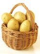 Potatoes in basket, isolated