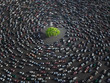 green tree surrounded by cars