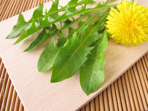 Photo: Frischer Löwenzahn für Salat Frischer Löwenzahn für Salat