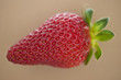 Erdbeere
