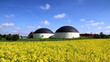 Foto: Biogasanlage und Rapsfeld Biogasanlage und Rapsfeld