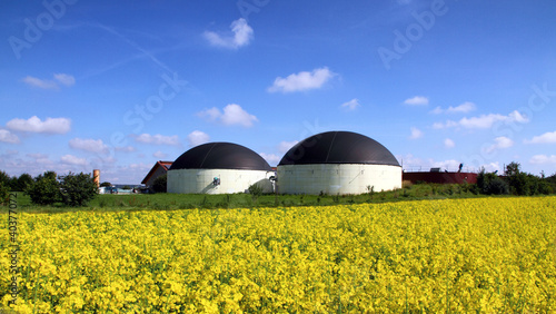Foto: Biogasanlage und Rapsfeld Biogasanlage und Rapsfeld