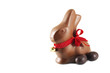 Chocolate bunny