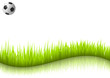Illustration: Fussball mit Rasen gespiegelt Fussball mit Rasen gespiegelt