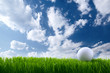 Golf ball Golf ball