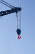 Crane hook