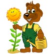 Braunbär bei der Pflanzenpflege