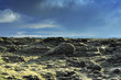 lava field at Eldhraun