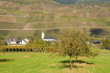 Lösnich an der Mosel