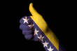 bosnia herzegovina national flag thumb up gesture for excellence