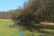 Weiher