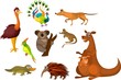 Australian animals