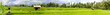 Reisfeld