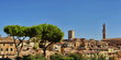 Siena