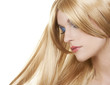 beautiful blond woman beautiful blond woman