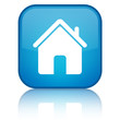 Home icon blue button