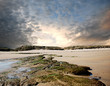 Rock formation on the beach