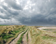 Stormy sand dunes