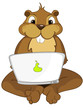 Beaver CREES. Look For Funny B...