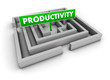 Productivity Labyrinth