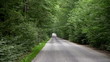 Valley of trees and empty road at summer time