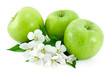Some green apples and branch with white flowers.