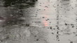 Rain hits the ground