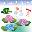 梅雨1