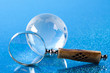 Magnifying glass and globe