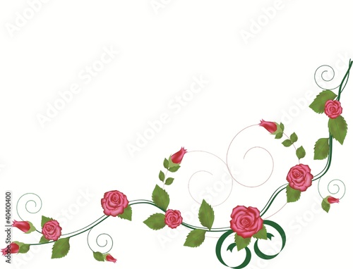 Vektor: Abstract red rose background Abstract red rose background