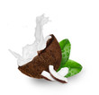 Coconut with milk splash over white