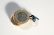 Miniatur Arbeiter schiebt Münzen