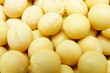 Foto: soy bean pattern as background soy bean pattern as background